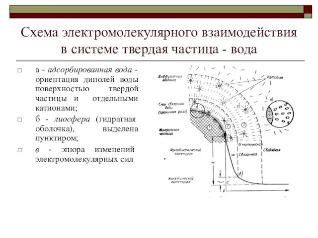 Схема электромолекулярного взаимодействия в системе твердая частица - вода а - адсорбированная