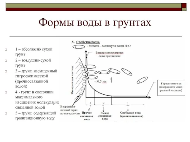 Формы воды в грунтах 1 – абсолютно сухой грунт 2 – воздушно-сухой