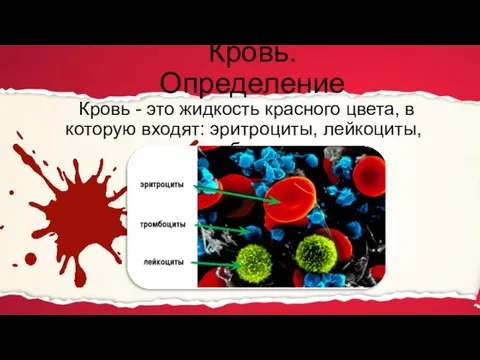 Кровь. Определение Кровь - это жидкость красного цвета, в которую входят: эритроциты, лейкоциты, тромбоциты.