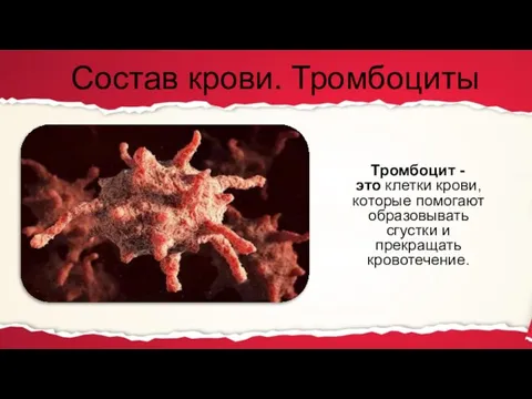 Состав крови. Тромбоциты Тромбоцит - это клетки крови, которые помогают образовывать сгустки и прекращать кровотечение.