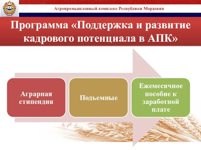 Программа «Поддержка и развитие кадрового потенциала в АПК» Агропромышленный комплекс Республики Мордовия