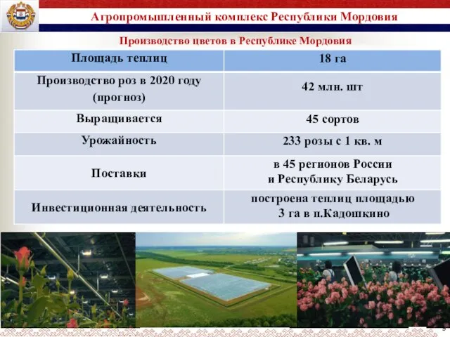 9 Агропромышленный комплекс Республики Мордовия Производство цветов в Республике Мордовия