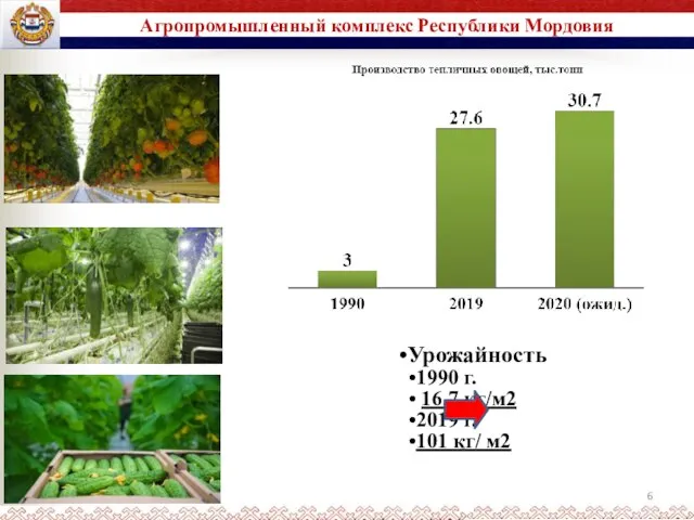 Агропромышленный комплекс Республики Мордовия Урожайность 1990 г. 16,7 кг/м2 2019 г. 101 кг/ м2