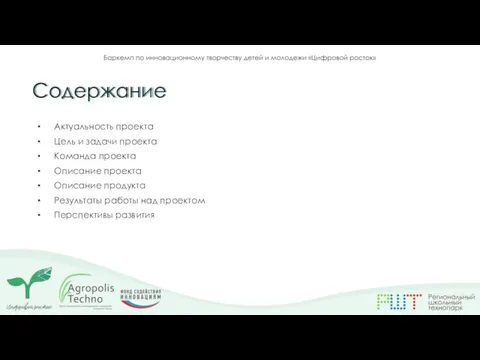 Актуальность проекта Цель и задачи проекта Команда проекта Описание проекта Описание продукта