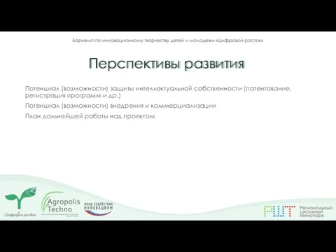 Потенциал (возможности) защиты интеллектуальной собственности (патентование, регистрация программ и др.) Потенциал (возможности)