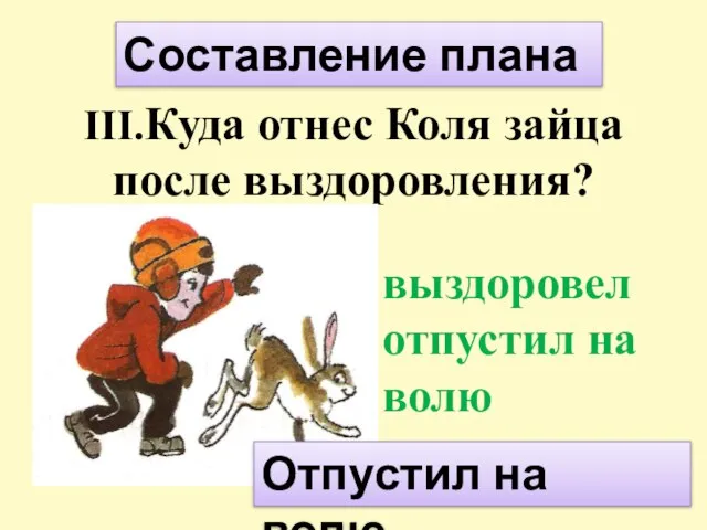 III.Куда отнес Коля зайца после выздоровления? выздоровел отпустил на волю Составление плана Отпустил на волю