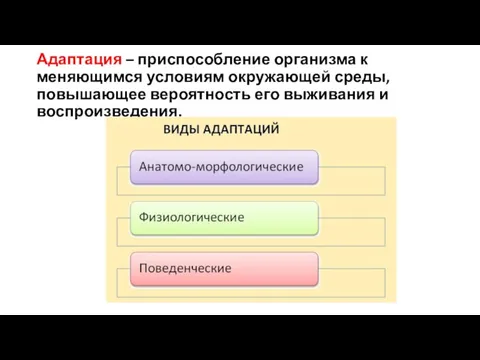 Адаптация – приспособление организма к меняющимся условиям окружающей среды, повышающее вероятность его выживания и воспроизведения.