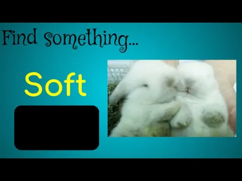 Find something… Soft