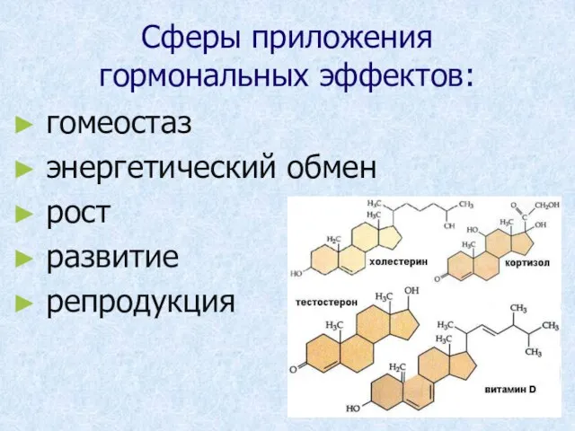 Сферы приложения гормональных эффектов: гомеостаз энергетический обмен рост развитие репродукция