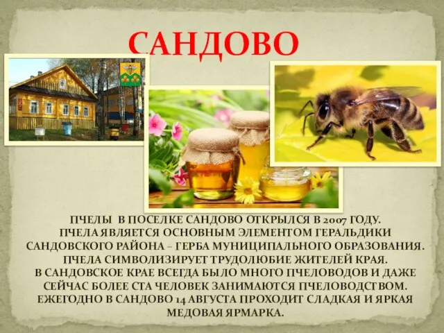 САНДОВО ПЧЕЛЫ В ПОСЕЛКЕ САНДОВО ОТКРЫЛСЯ В 2007 ГОДУ. ПЧЕЛА ЯВЛЯЕТСЯ ОСНОВНЫМ