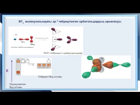 Е Оқшауланған бор атомы Гибридті бор атомы BF3 молекуласындағы sp 2 гибридтенген орбитальдардың орналасуы