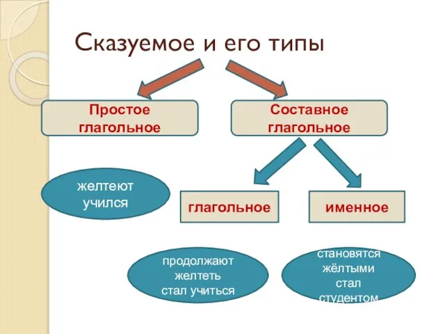 Сказуемое и его типы Простое глагольное глагольное именное Составное глагольное желтеют учился