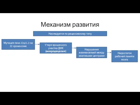 Наследуется по рецессивному типу Мутация гена 22q11.2 на 22 хромосоме Утеря крошечного