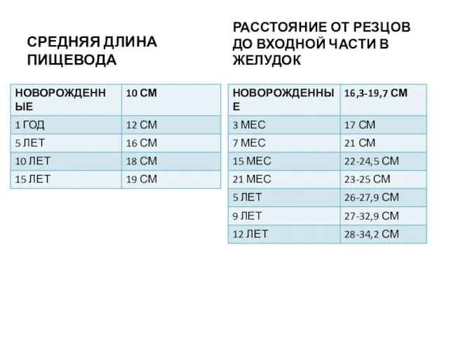 СРЕДНЯЯ ДЛИНА ПИЩЕВОДА РАССТОЯНИЕ ОТ РЕЗЦОВ ДО ВХОДНОЙ ЧАСТИ В ЖЕЛУДОК