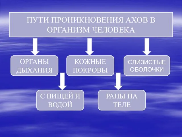 ПУТИ ПРОНИКНОВЕНИЯ АХОВ В ОРГАНИЗМ ЧЕЛОВЕКА ОРГАНЫ ДЫХАНИЯ СЛИЗИСТЫЕ ОБОЛОЧКИ КОЖНЫЕ ПОКРОВЫ