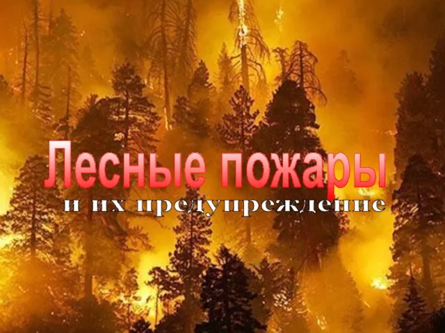 Лесные пожары и их предупреждение