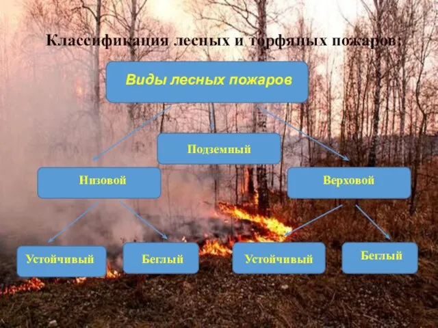 Подземный Классификация лесных и торфяных пожаров: Виды лесных пожаров Низовой Верховой Устойчивый Беглый Устойчивый Беглый