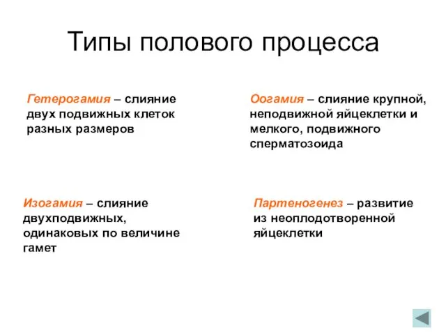 Типы полового процесса Гетерогамия – слияние двух подвижных клеток разных размеров Оогамия