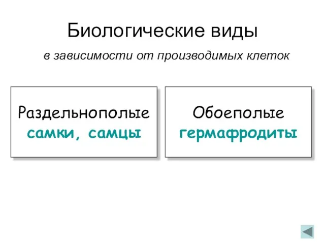 Биологические виды в зависимости от производимых клеток Раздельнополые самки, самцы Обоеполые гермафродиты