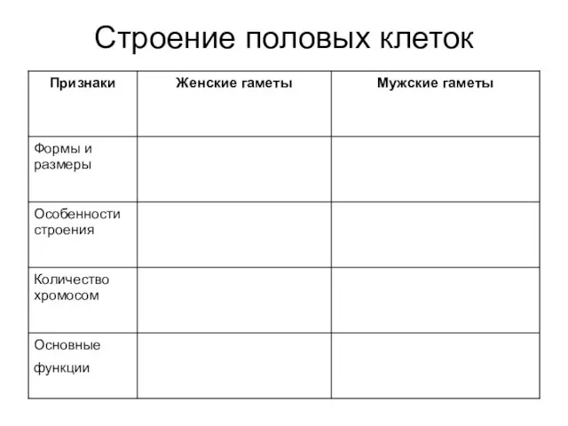 Строение половых клеток