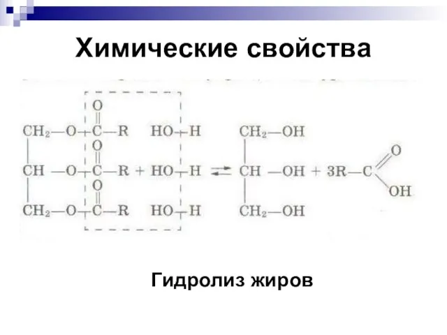 Химические свойства Гидролиз жиров