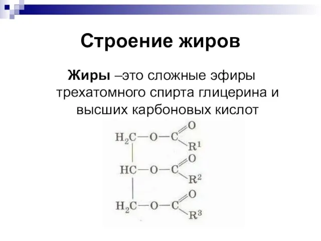 Строение жиров Жиры –это сложные эфиры трехатомного спирта глицерина и высших карбоновых кислот