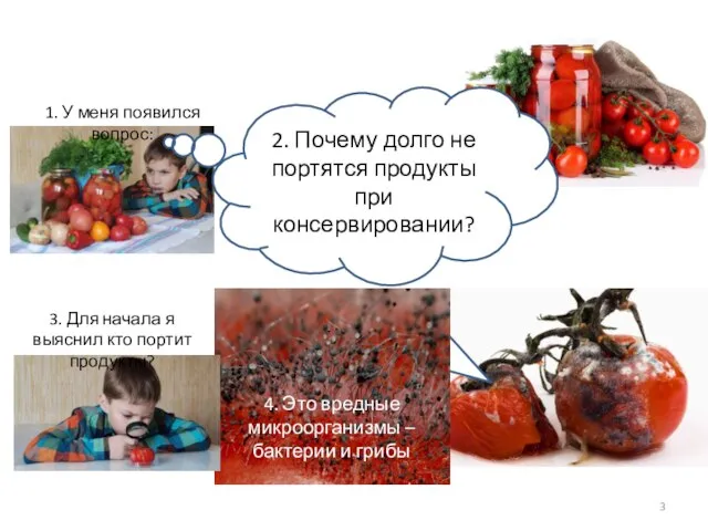 3. Для начала я выяснил кто портит продукты? 4. Это вредные микроорганизмы