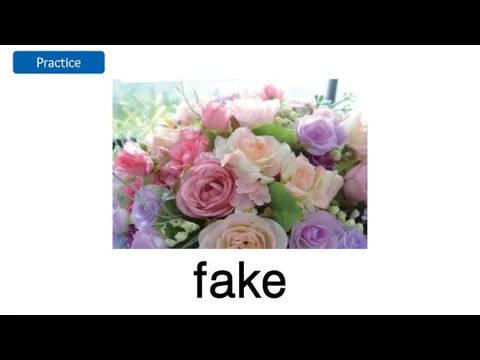 fake