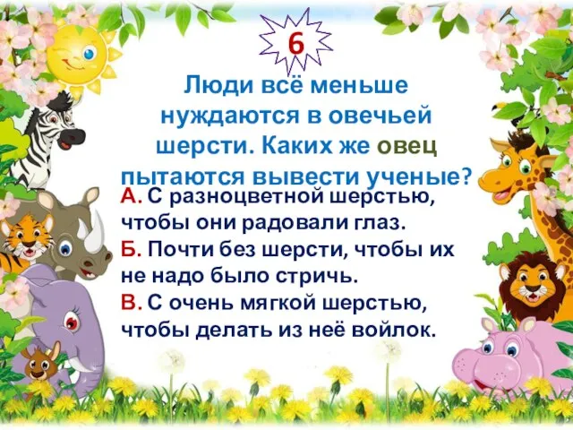 6 Люди всё меньше нуждаются в овечьей шерсти. Каких же овец пытаются