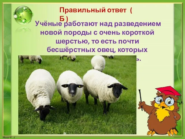 Правильный ответ ( Б ) Учёные работают над разведением новой породы с