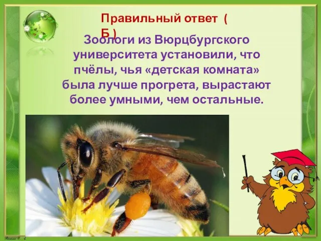 Правильный ответ ( Б ) Зоологи из Вюрцбургского университета установили, что пчёлы,