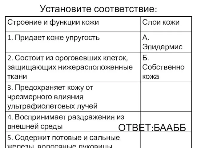 Установите соответствие: ОТВЕТ:БААББ