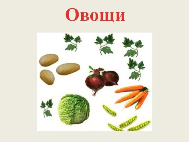 Овощи
