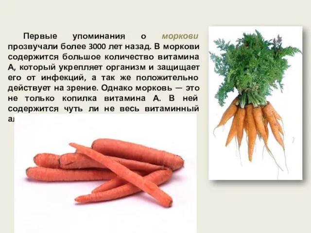 Первые упоминания о моркови прозвучали более 3000 лет назад. В моркови содержится