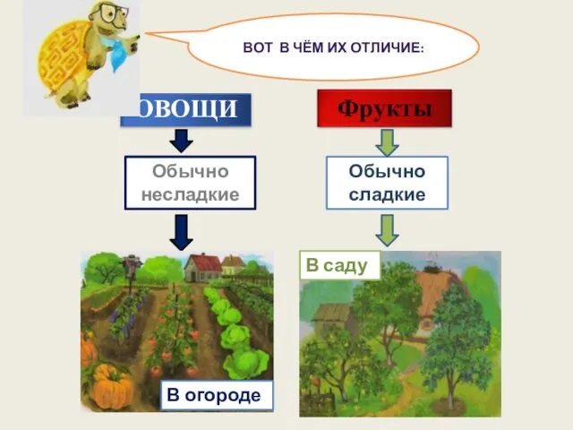 Обычно несладкие Обычно сладкие ВОТ В ЧЁМ ИХ ОТЛИЧИЕ: В огороде В саду