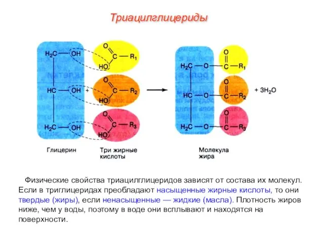 Физические свойства триацилглицеридов зависят от состава их молекул. Если в триглицеридах преобладают