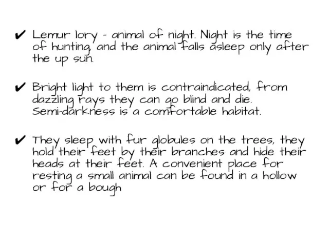 Lemur lory - animal of night. Night is the time of hunting,