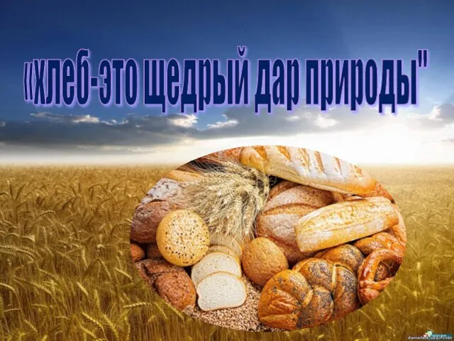 «хлеб-это щедрый дар природы"
