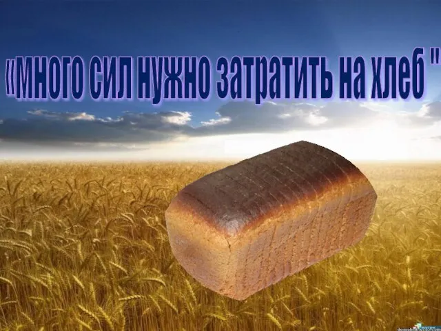 «много сил нужно затратить на хлеб "