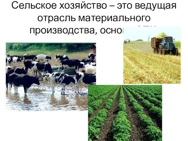 Сельское хозяйство – это ведущая отрасль материального производства, основа АПК.