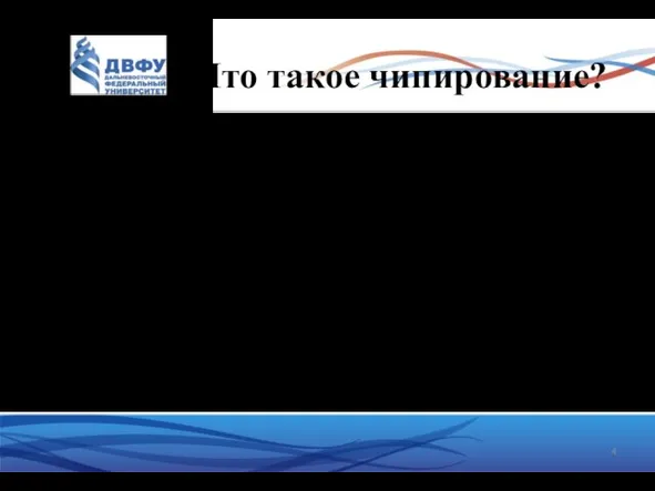 Что такое чипирование? Чипирование меховых изделий подразумевает их маркировку контрольными (идентификационными) знаками