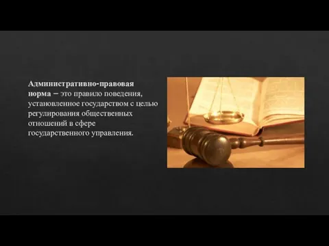 Административно-правовая норма – это правило поведения, установленное государством с целью регулирования общественных