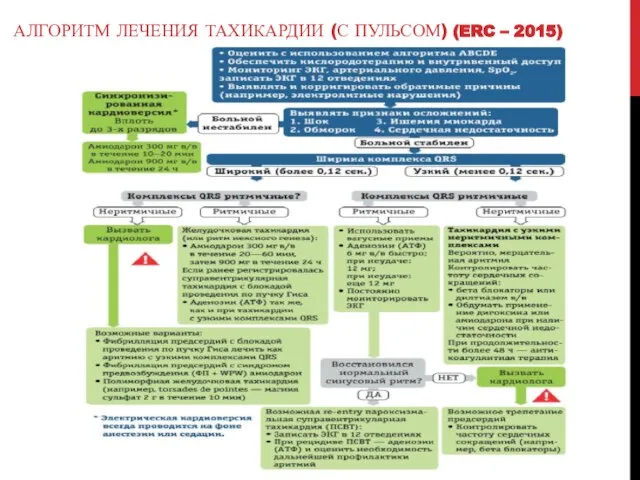 АЛГОРИТМ ЛЕЧЕНИЯ ТАХИКАРДИИ (С ПУЛЬСОМ) (ERC – 2015)