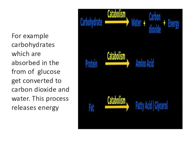 For example carbohydrates which are absorbed in the from of glucose get