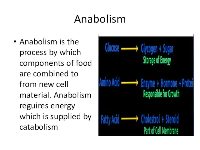 Anabolism Anabolism is the process by which components of food are combined