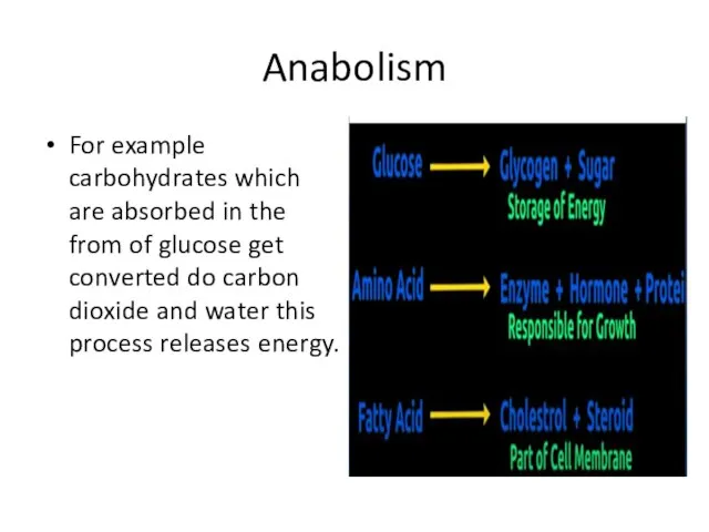 Anabolism For example carbohydrates which are absorbed in the from of glucose
