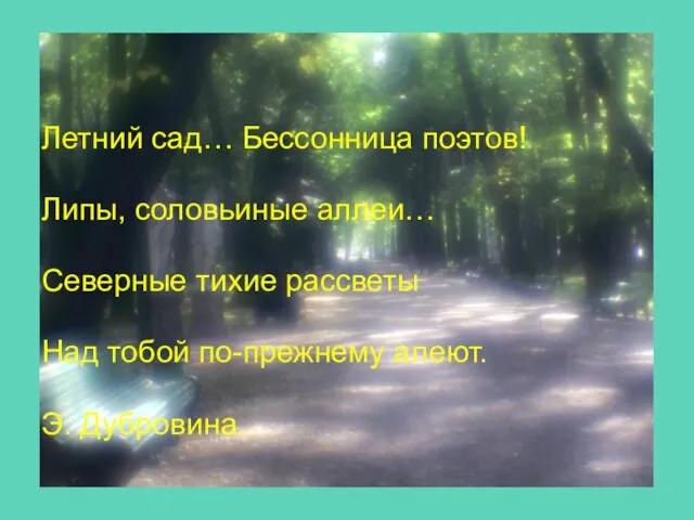 Летний сад… Бессонница поэтов! Липы, соловьиные аллеи… Северные тихие рассветы Над тобой по-прежнему алеют. Э. Дубровина.