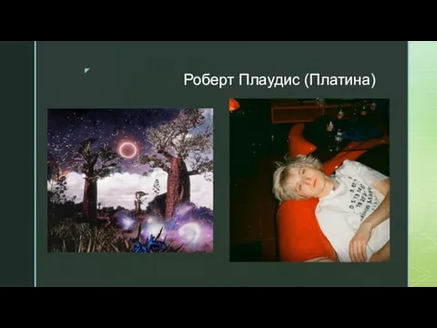 Роберт Плаудис (Платина)