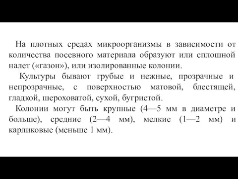 На плотных средах микроорганизмы в зависимости от количества посевного материала образуют или