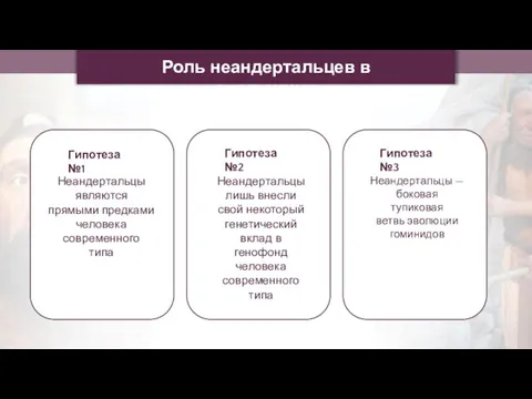 Гипотеза №1 Гипотеза №2 Гипотеза №3 Роль неандертальцев в эволюциии Неандертальцы являются